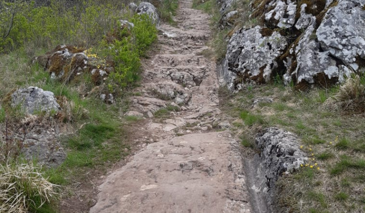 Turniansky hrad Turniansky hrad