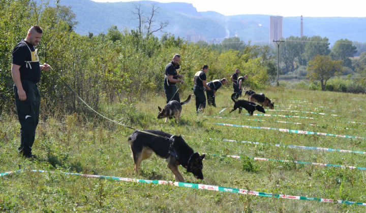 Fotogaléria / XVIII. Krajský pretek služobných psov vo výkone 