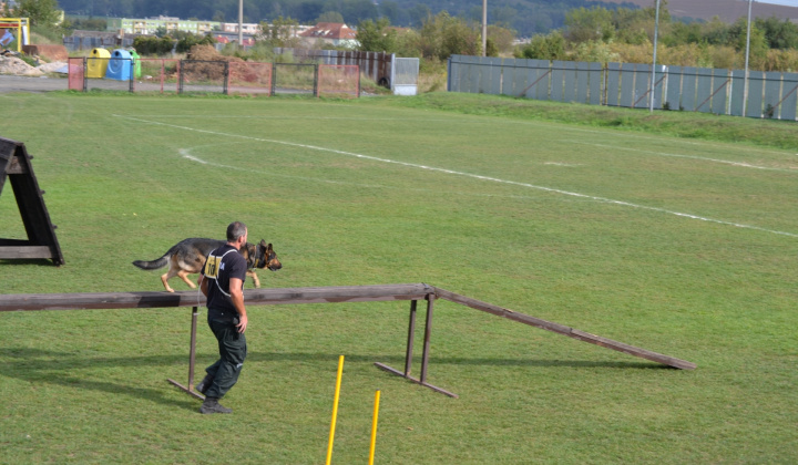 Zobraziť fotografiu