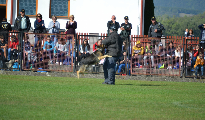 Zobraziť fotografiu