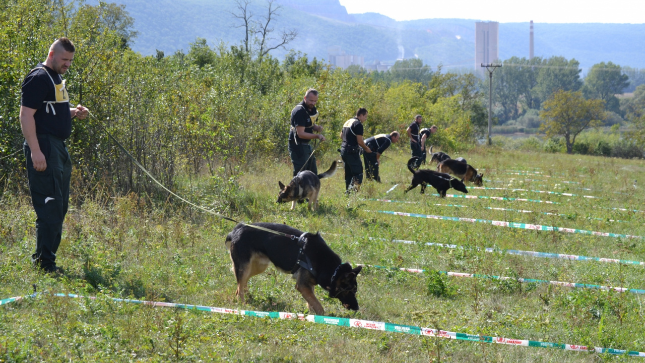 Fotografia fotogalérie Fotogaléria / XVIII. Krajský pretek služobných psov vo výkone