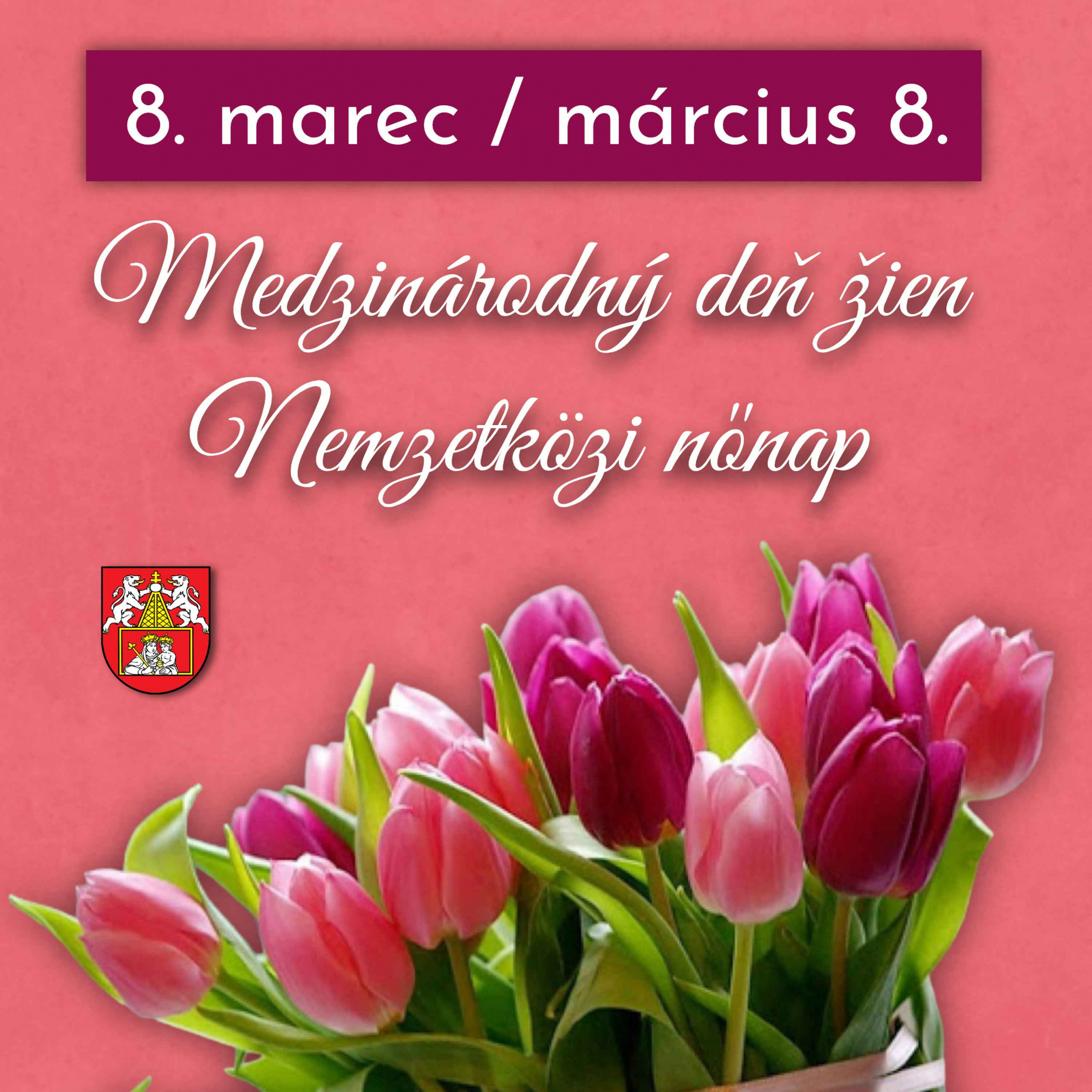 Fotka - Medzinárodný deň žien / Nemzetközi nőnap