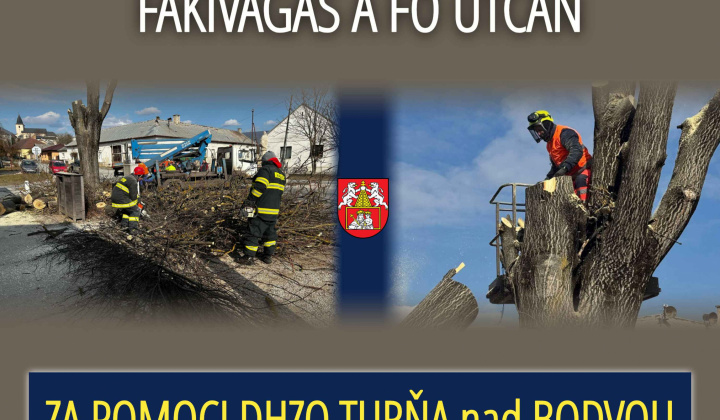 Fotka - Výrub stromu na Hlavnej ulici / Fakivágás a Fő utcán