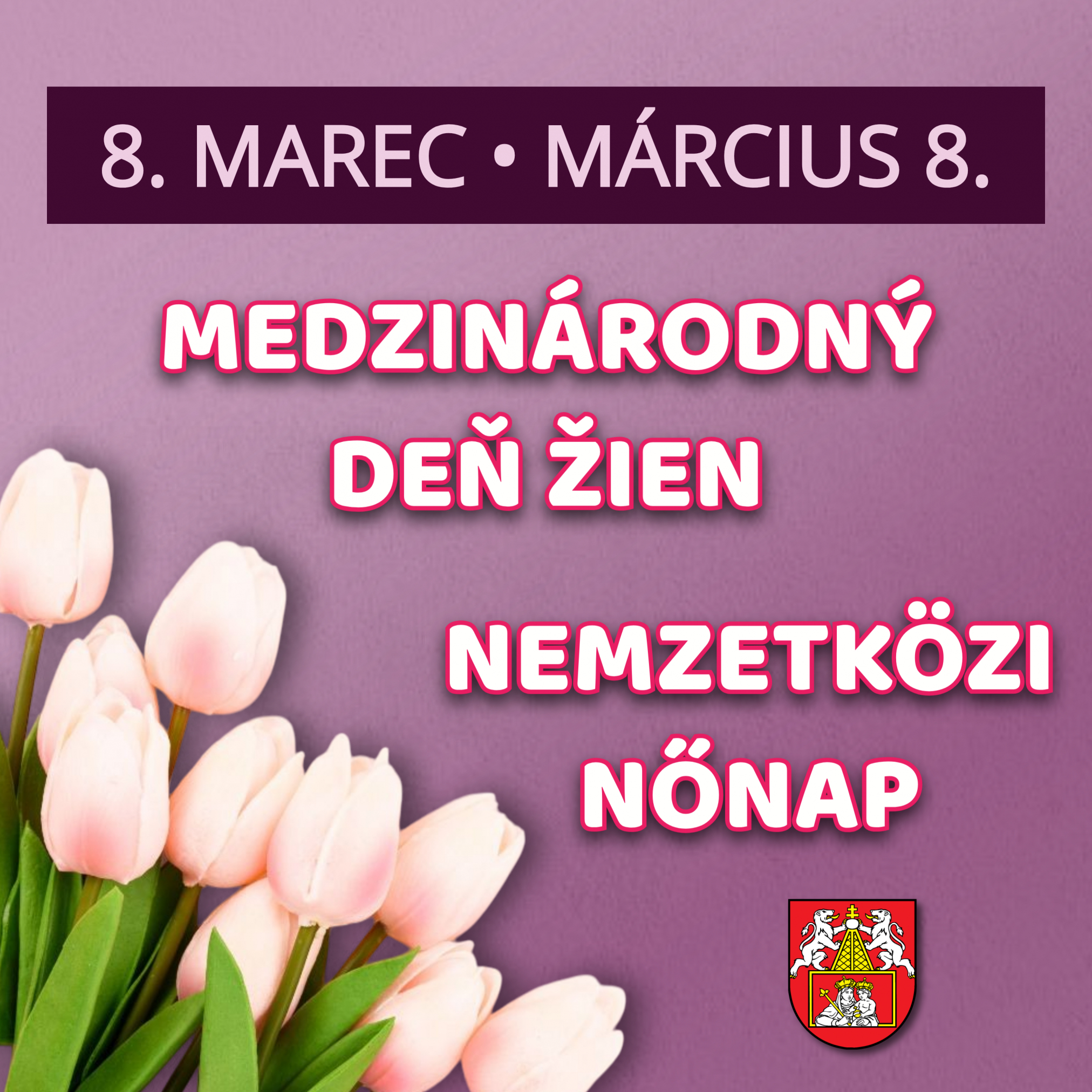 Fotka - nový článok